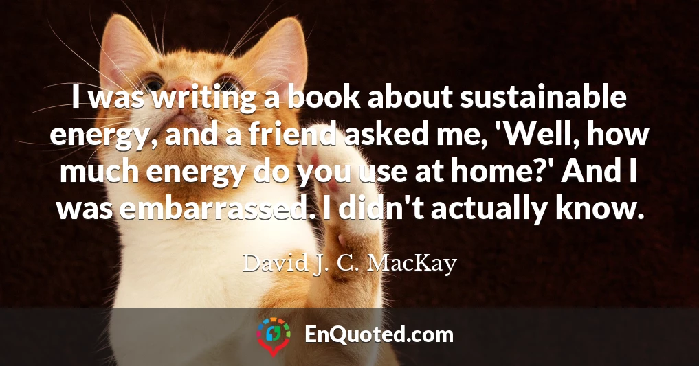 I was writing a book about sustainable energy, and a friend asked me, 'Well, how much energy do you use at home?' And I was embarrassed. I didn't actually know.
