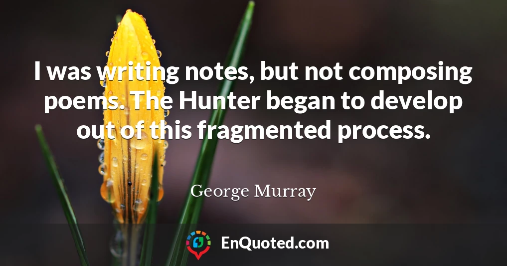 I was writing notes, but not composing poems. The Hunter began to develop out of this fragmented process.