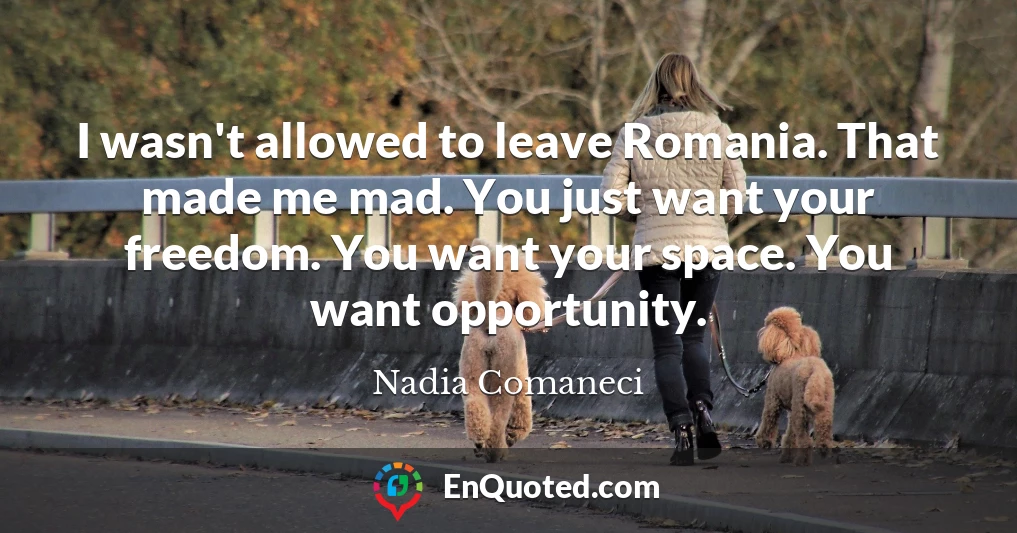 I wasn't allowed to leave Romania. That made me mad. You just want your freedom. You want your space. You want opportunity.