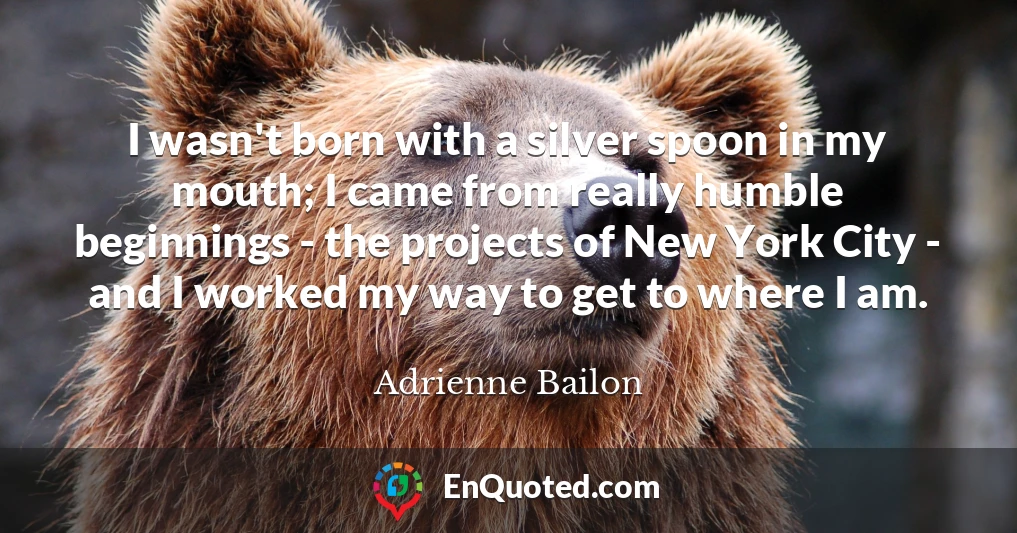 I wasn't born with a silver spoon in my mouth; I came from really humble beginnings - the projects of New York City - and I worked my way to get to where I am.