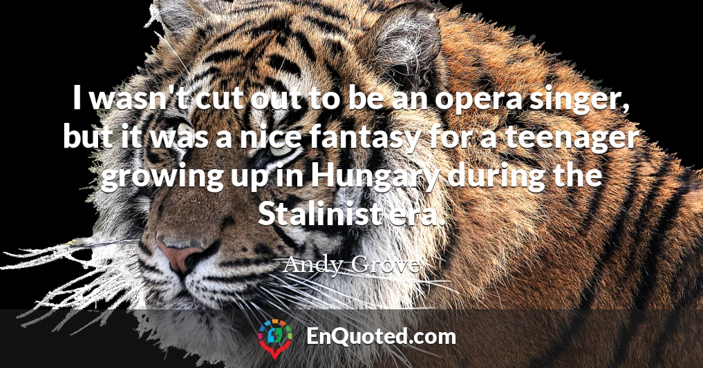 I wasn't cut out to be an opera singer, but it was a nice fantasy for a teenager growing up in Hungary during the Stalinist era.