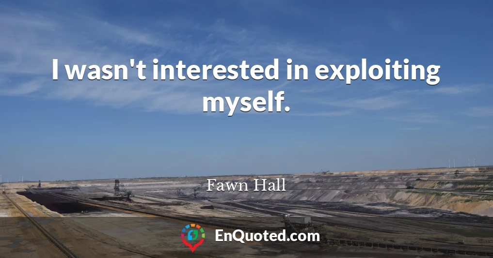 I wasn't interested in exploiting myself.