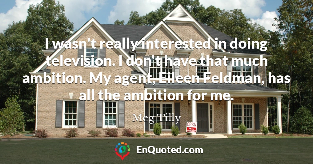 I wasn't really interested in doing television. I don't have that much ambition. My agent, Eileen Feldman, has all the ambition for me.