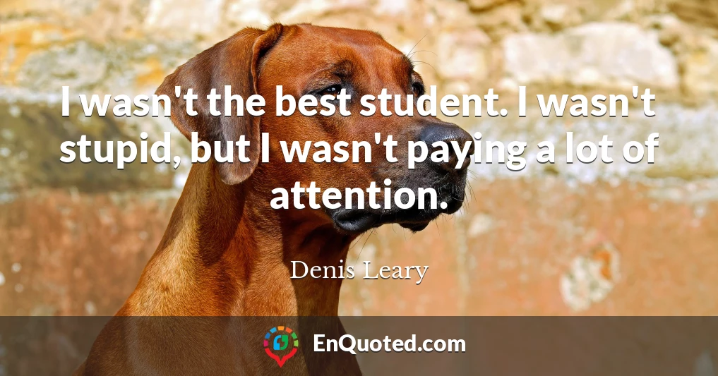I wasn't the best student. I wasn't stupid, but I wasn't paying a lot of attention.