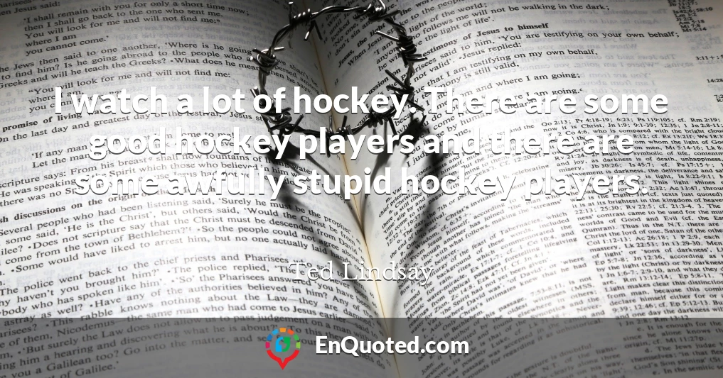 I watch a lot of hockey. There are some good hockey players and there are some awfully stupid hockey players.