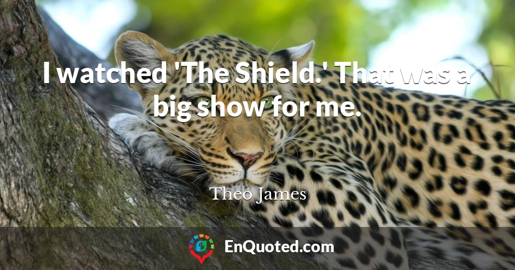 I watched 'The Shield.' That was a big show for me.