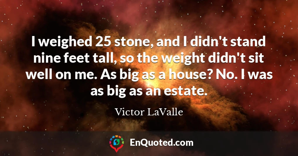 I weighed 25 stone, and I didn't stand nine feet tall, so the weight didn't sit well on me. As big as a house? No. I was as big as an estate.