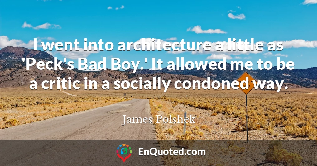 I went into architecture a little as 'Peck's Bad Boy.' It allowed me to be a critic in a socially condoned way.