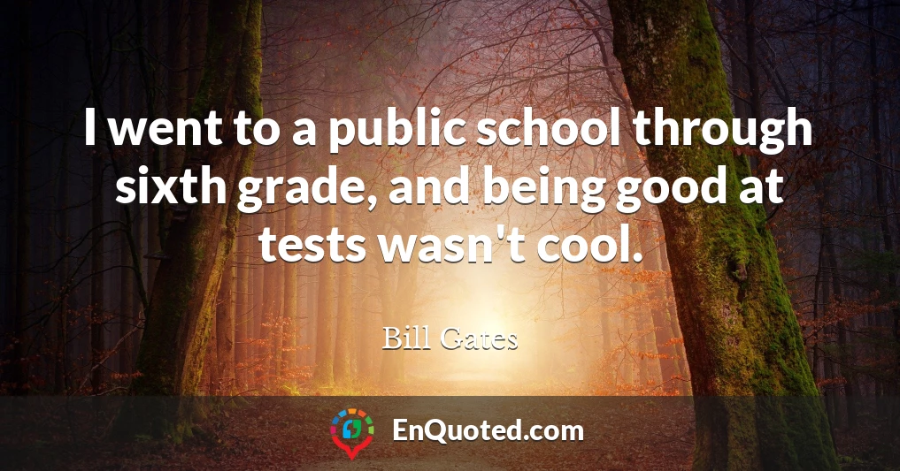 I went to a public school through sixth grade, and being good at tests wasn't cool.