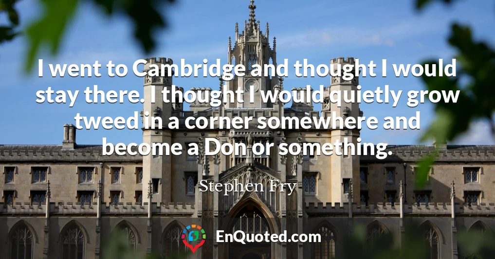 I went to Cambridge and thought I would stay there. I thought I would quietly grow tweed in a corner somewhere and become a Don or something.