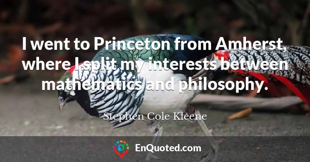 I went to Princeton from Amherst, where I split my interests between mathematics and philosophy.
