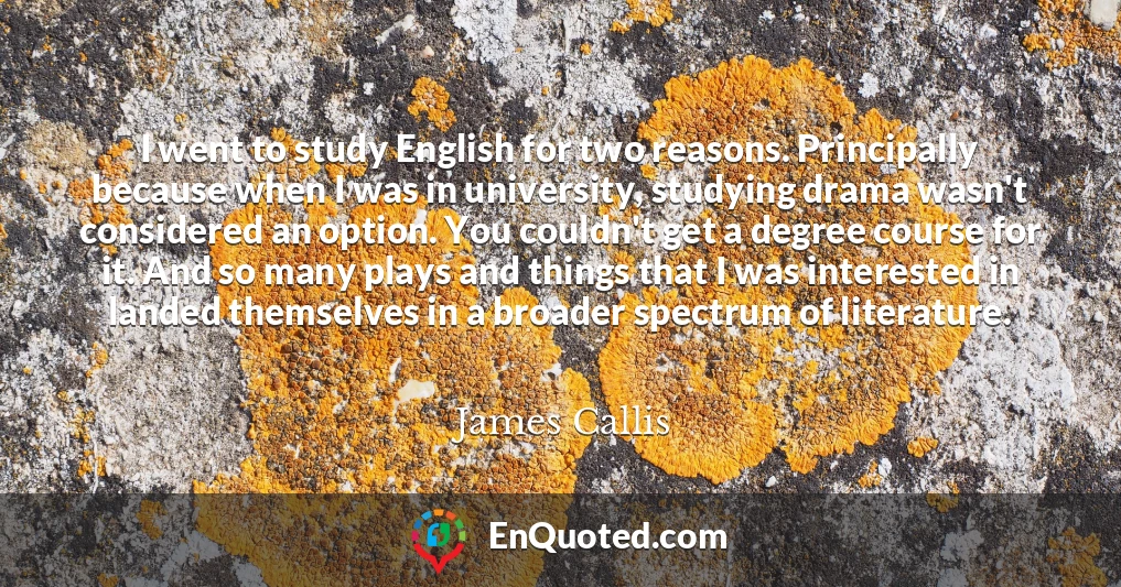 I went to study English for two reasons. Principally because when I was in university, studying drama wasn't considered an option. You couldn't get a degree course for it. And so many plays and things that I was interested in landed themselves in a broader spectrum of literature.