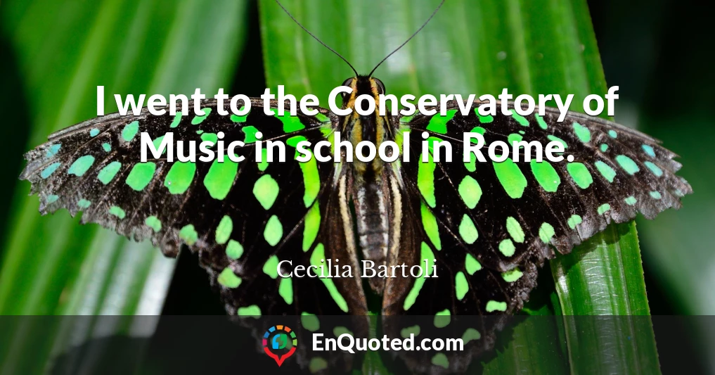 I went to the Conservatory of Music in school in Rome.