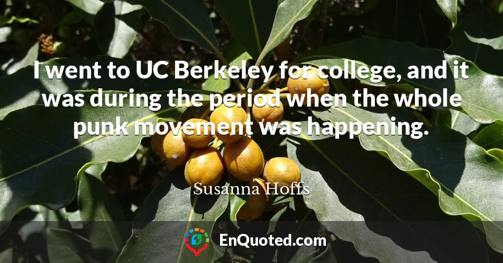 I went to UC Berkeley for college, and it was during the period when the whole punk movement was happening.