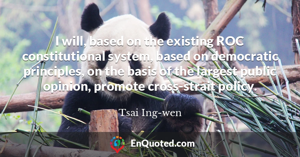 I will, based on the existing ROC constitutional system, based on democratic principles, on the basis of the largest public opinion, promote cross-strait policy.