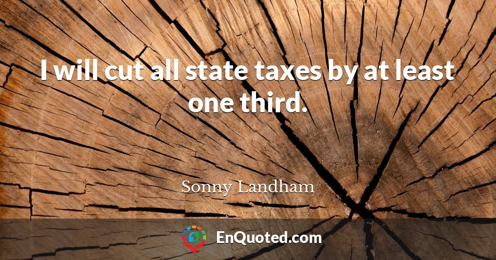 I will cut all state taxes by at least one third.