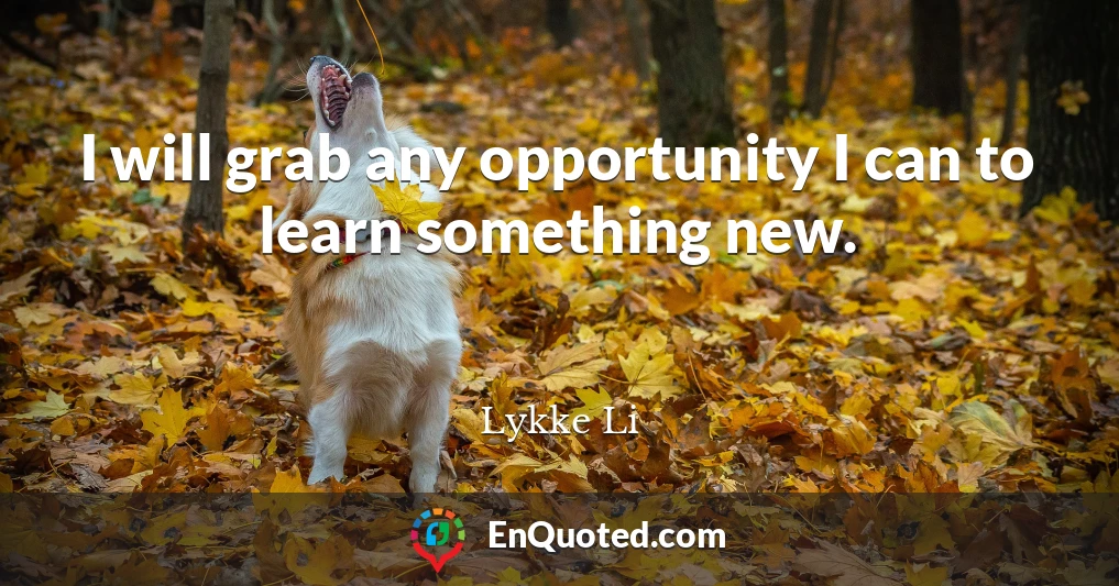 I will grab any opportunity I can to learn something new.