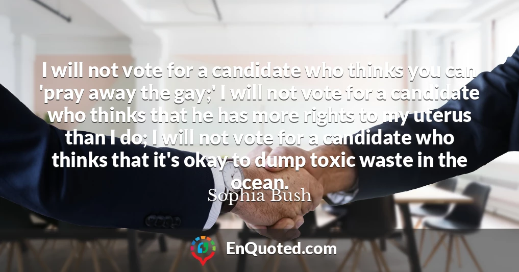 I will not vote for a candidate who thinks you can 'pray away the gay;' I will not vote for a candidate who thinks that he has more rights to my uterus than I do; I will not vote for a candidate who thinks that it's okay to dump toxic waste in the ocean.