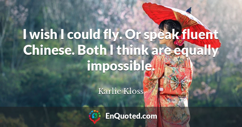 I wish I could fly. Or speak fluent Chinese. Both I think are equally impossible.