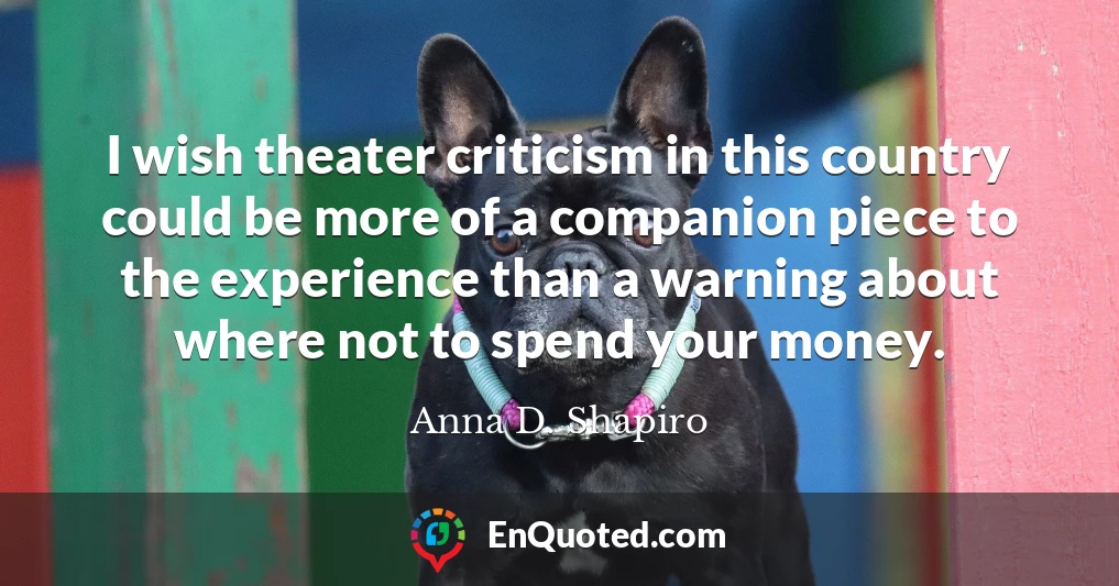 I wish theater criticism in this country could be more of a companion piece to the experience than a warning about where not to spend your money.