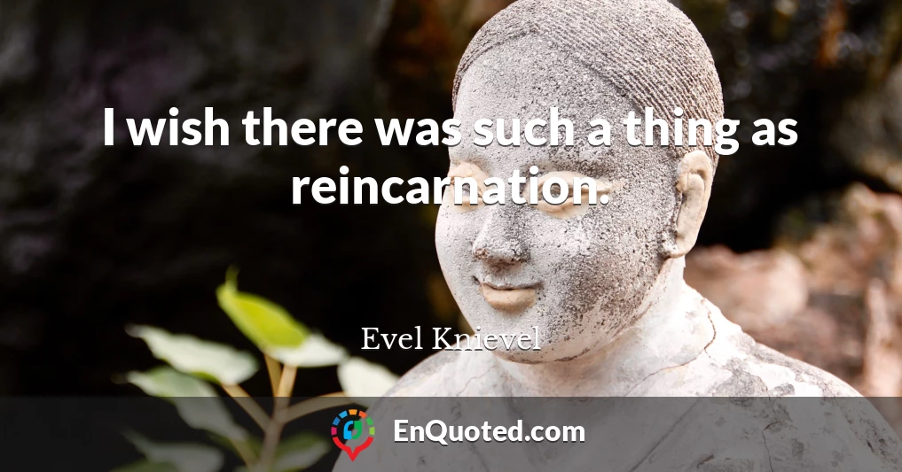 I wish there was such a thing as reincarnation.