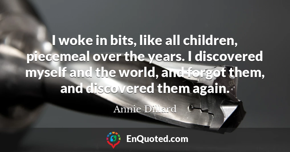 I woke in bits, like all children, piecemeal over the years. I discovered myself and the world, and forgot them, and discovered them again.