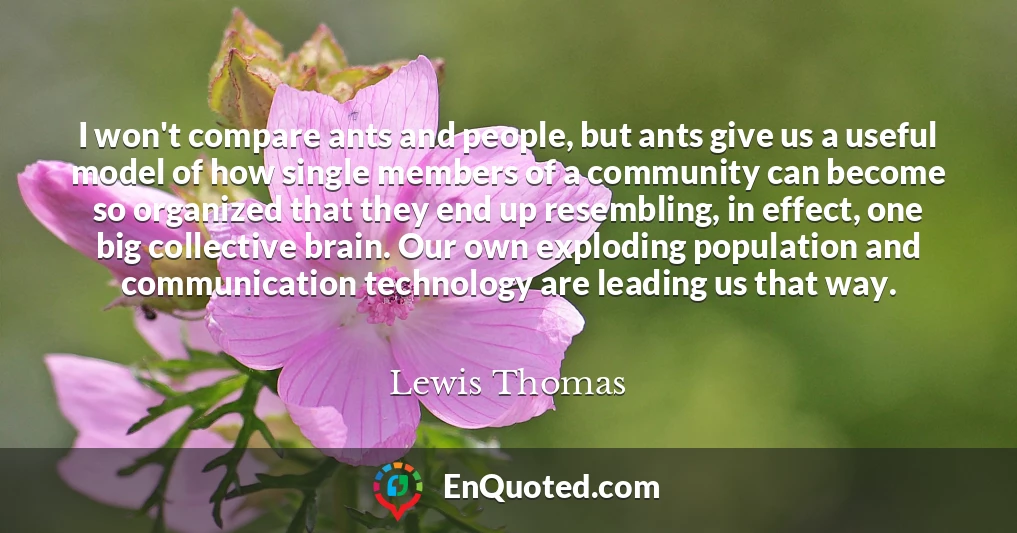 I won't compare ants and people, but ants give us a useful model of how single members of a community can become so organized that they end up resembling, in effect, one big collective brain. Our own exploding population and communication technology are leading us that way.