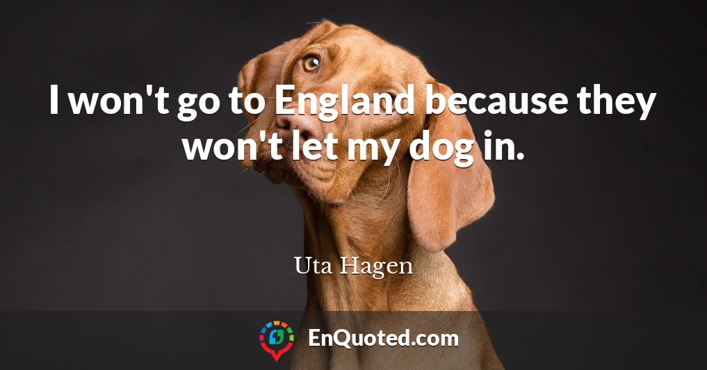 I won't go to England because they won't let my dog in.