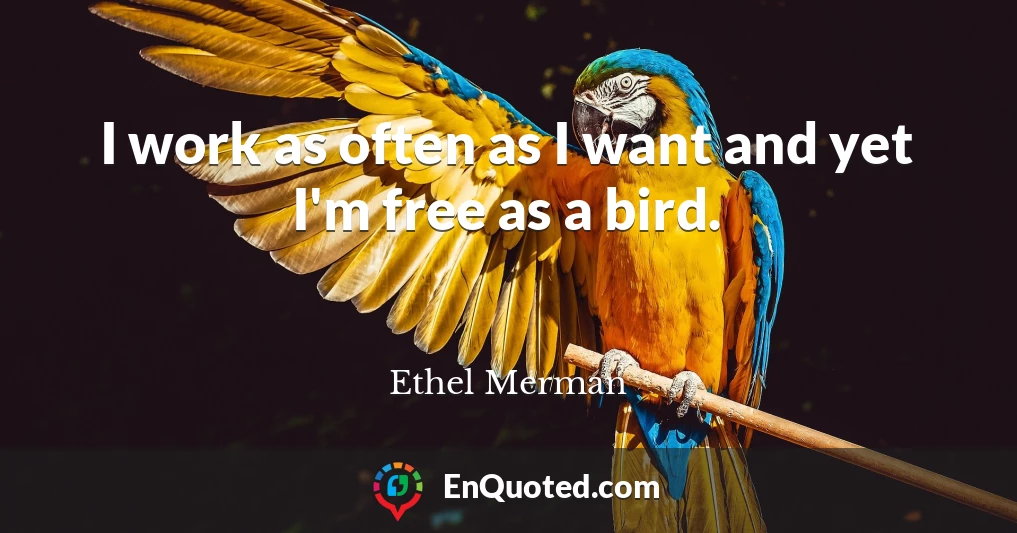 I work as often as I want and yet I'm free as a bird.