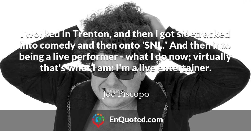 I worked in Trenton, and then I got sidetracked into comedy and then onto 'SNL.' And then into being a live performer - what I do now; virtually that's what I am: I'm a live entertainer.