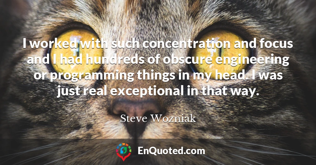 I worked with such concentration and focus and I had hundreds of obscure engineering or programming things in my head. I was just real exceptional in that way.