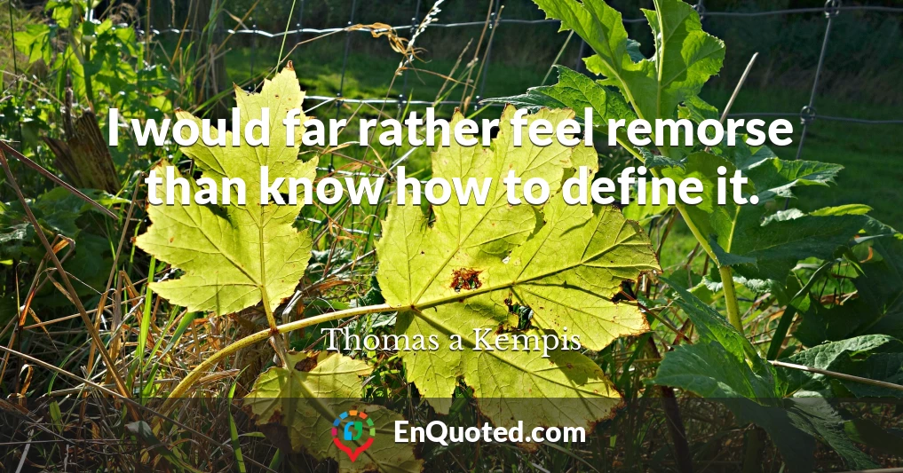 I would far rather feel remorse than know how to define it.