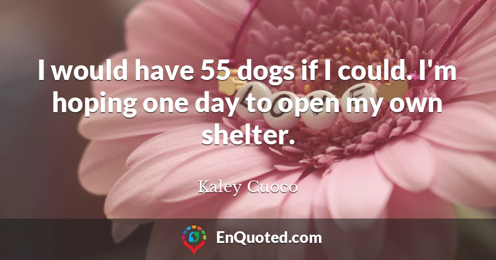 I would have 55 dogs if I could. I'm hoping one day to open my own shelter.
