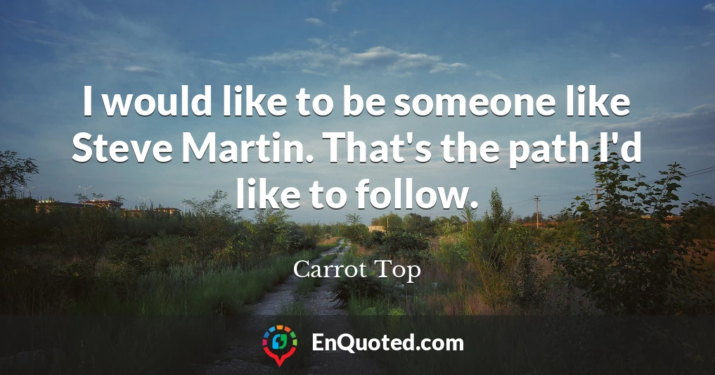 I would like to be someone like Steve Martin. That's the path I'd like to follow.