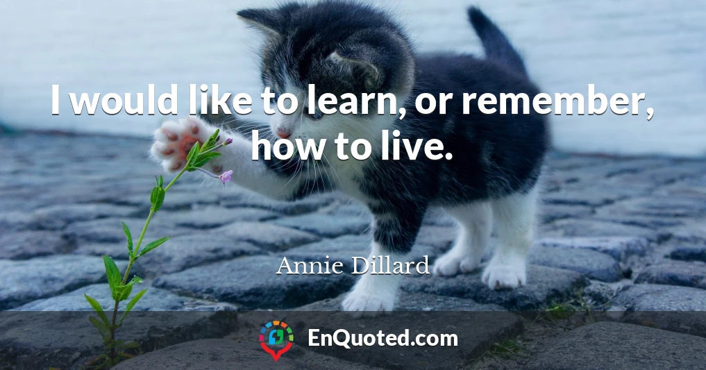 I would like to learn, or remember, how to live.