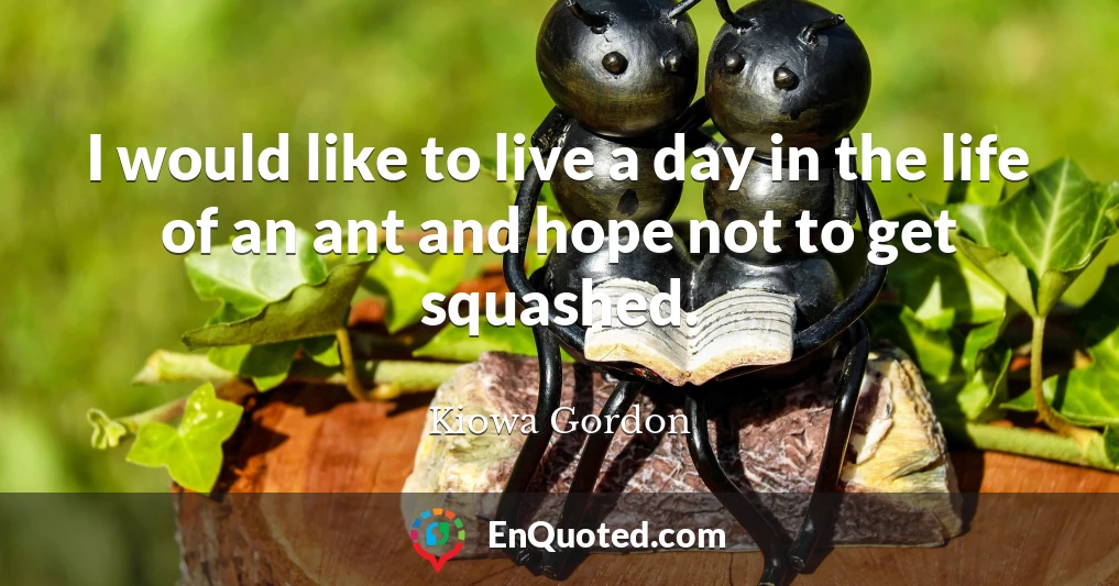 I would like to live a day in the life of an ant and hope not to get squashed.
