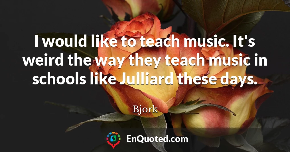 I would like to teach music. It's weird the way they teach music in schools like Julliard these days.