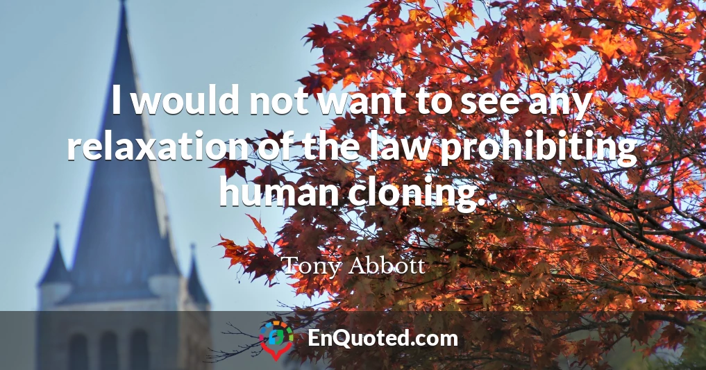 I would not want to see any relaxation of the law prohibiting human cloning.
