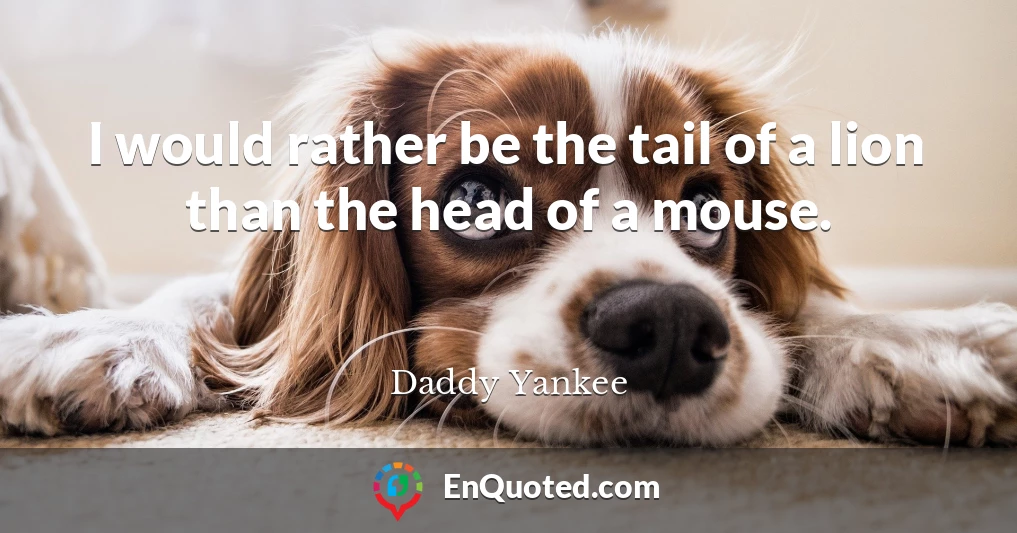 I would rather be the tail of a lion than the head of a mouse.