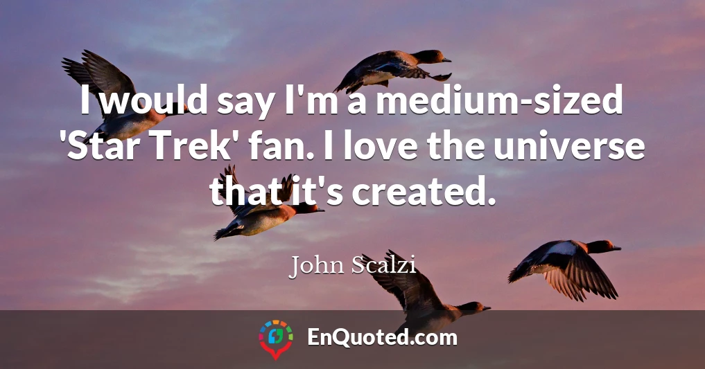 I would say I'm a medium-sized 'Star Trek' fan. I love the universe that it's created.