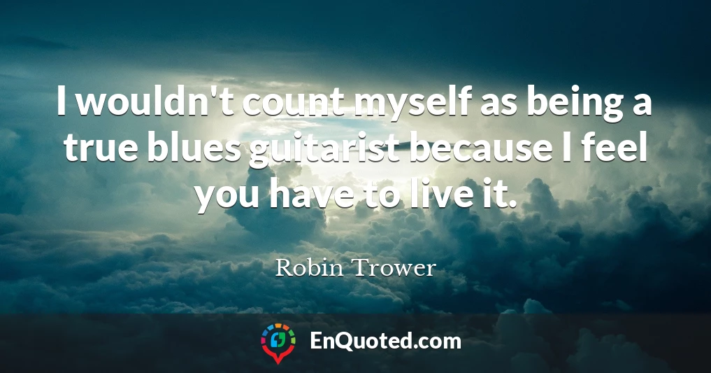 I wouldn't count myself as being a true blues guitarist because I feel you have to live it.