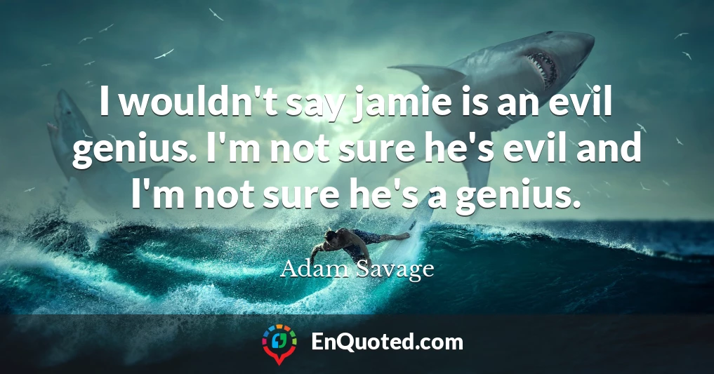 I wouldn't say jamie is an evil genius. I'm not sure he's evil and I'm not sure he's a genius.