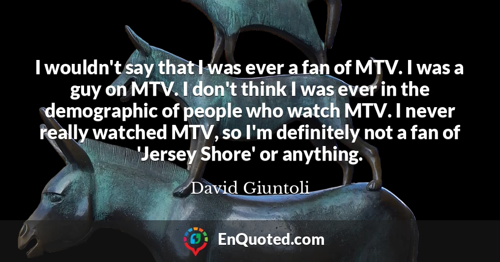 I wouldn't say that I was ever a fan of MTV. I was a guy on MTV. I don't think I was ever in the demographic of people who watch MTV. I never really watched MTV, so I'm definitely not a fan of 'Jersey Shore' or anything.