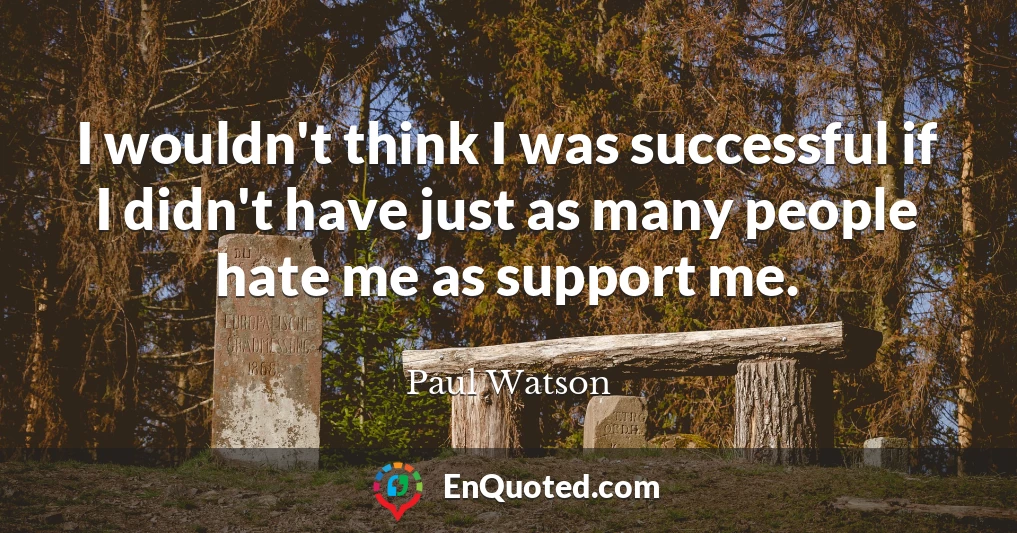 I wouldn't think I was successful if I didn't have just as many people hate me as support me.
