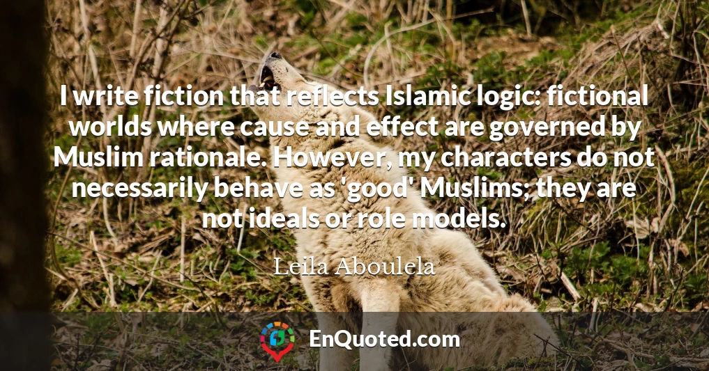 I write fiction that reflects Islamic logic: fictional worlds where cause and effect are governed by Muslim rationale. However, my characters do not necessarily behave as 'good' Muslims; they are not ideals or role models.