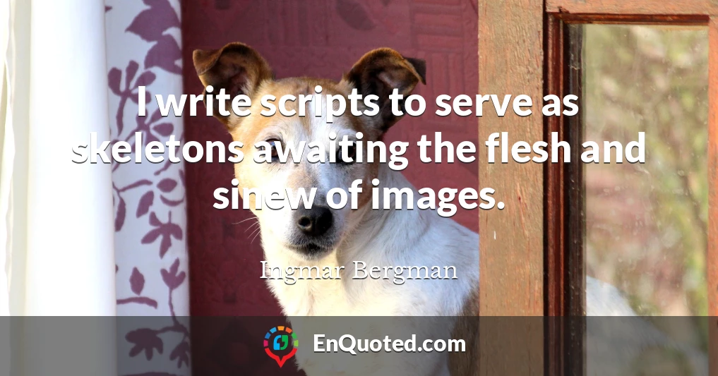 I write scripts to serve as skeletons awaiting the flesh and sinew of images.