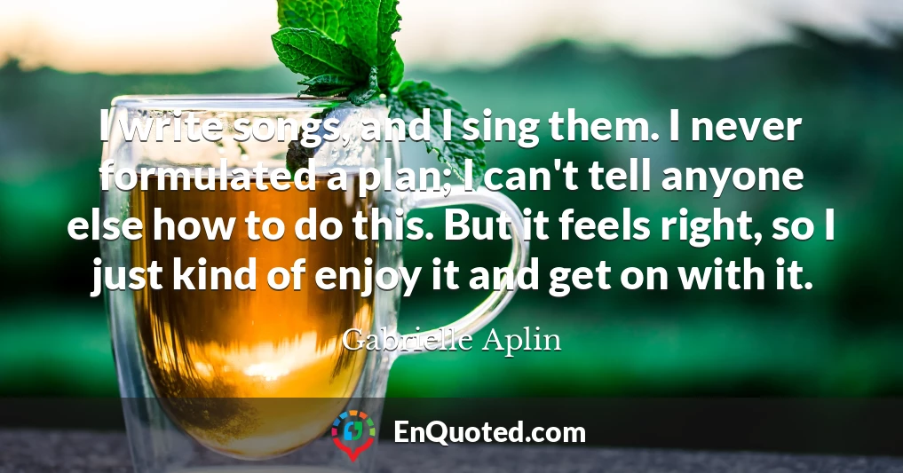 I write songs, and I sing them. I never formulated a plan; I can't tell anyone else how to do this. But it feels right, so I just kind of enjoy it and get on with it.
