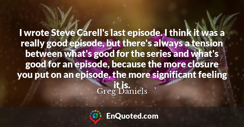 I wrote Steve Carell's last episode. I think it was a really good episode, but there's always a tension between what's good for the series and what's good for an episode, because the more closure you put on an episode, the more significant feeling it is.