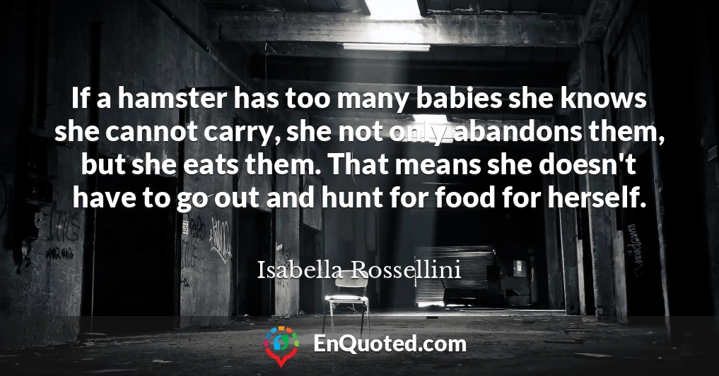 If a hamster has too many babies she knows she cannot carry, she not only abandons them, but she eats them. That means she doesn't have to go out and hunt for food for herself.