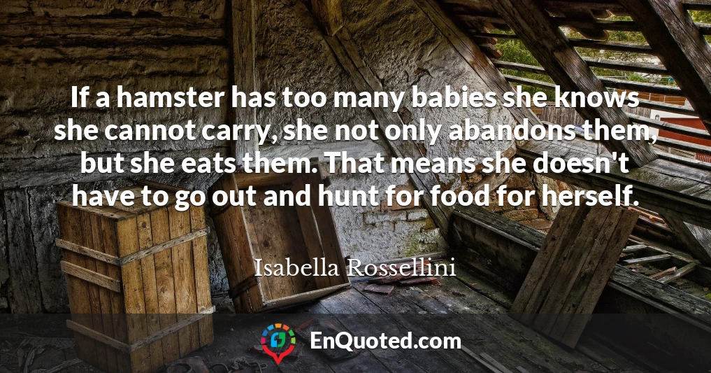 If a hamster has too many babies she knows she cannot carry, she not only abandons them, but she eats them. That means she doesn't have to go out and hunt for food for herself.